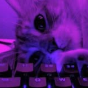 mavonair