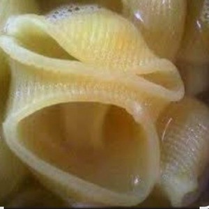 AnOptomisticNoodle