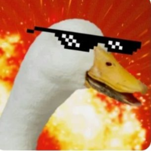 goose_sawem