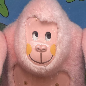 きょせ