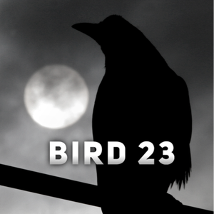 EmpTyBrdcaGe23