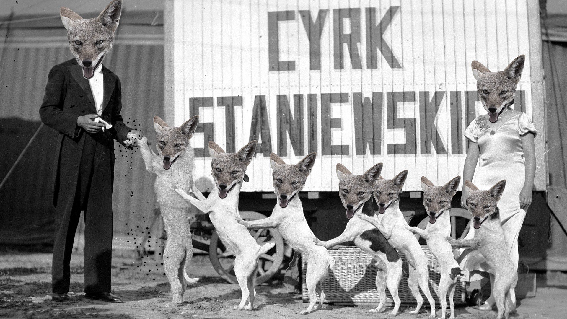 RussianJackalle Offline Background
