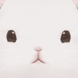 宇宙一うさぎ