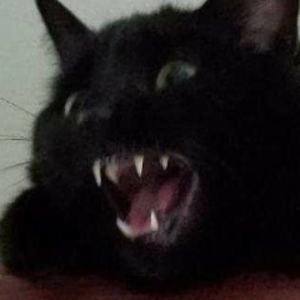 niovah