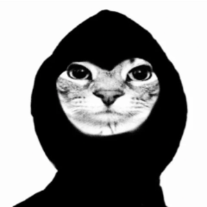 mattdarina
