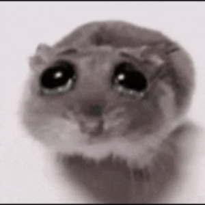 BeanzzINC_streams
