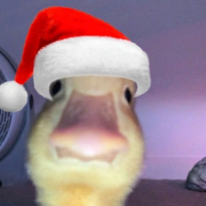 patito1902