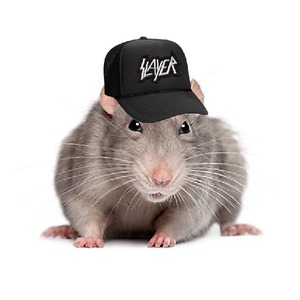 Slayer2313
