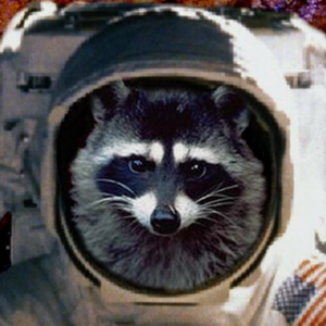space_racc