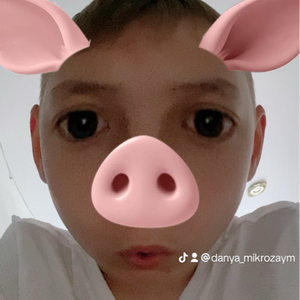 danyamikrozay