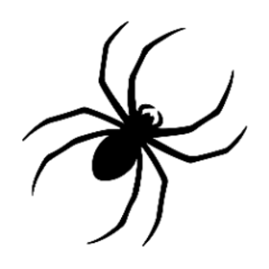 rakkispider