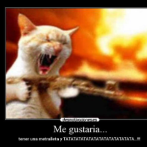 GatitaFPS