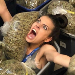 KoalasGrow