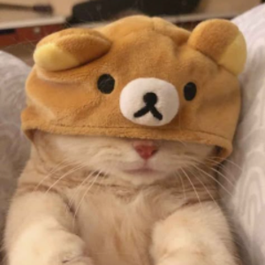 ZeroZelot