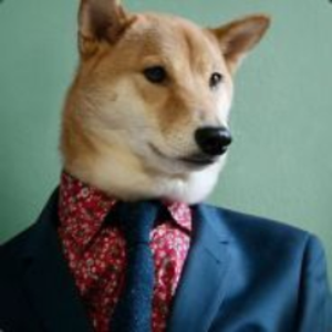 Doggbuilder
