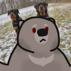 musheebear