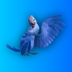 checkrio