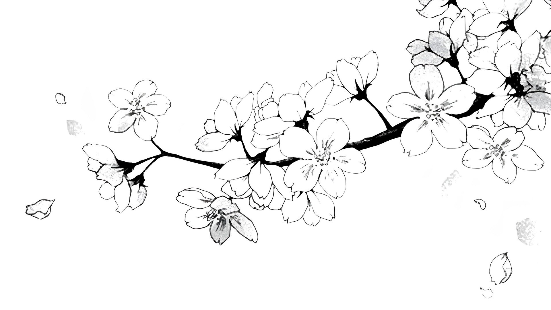 yaairi Offline Background