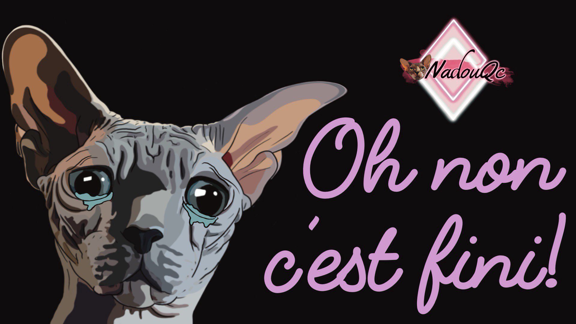 NadouQc Offline Background