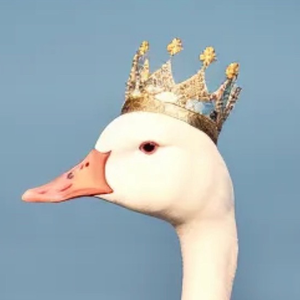 Gooseking101