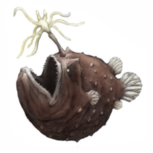 Norbertas86