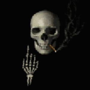 wu_br0nx_killa