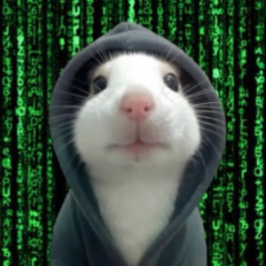 jaypextk