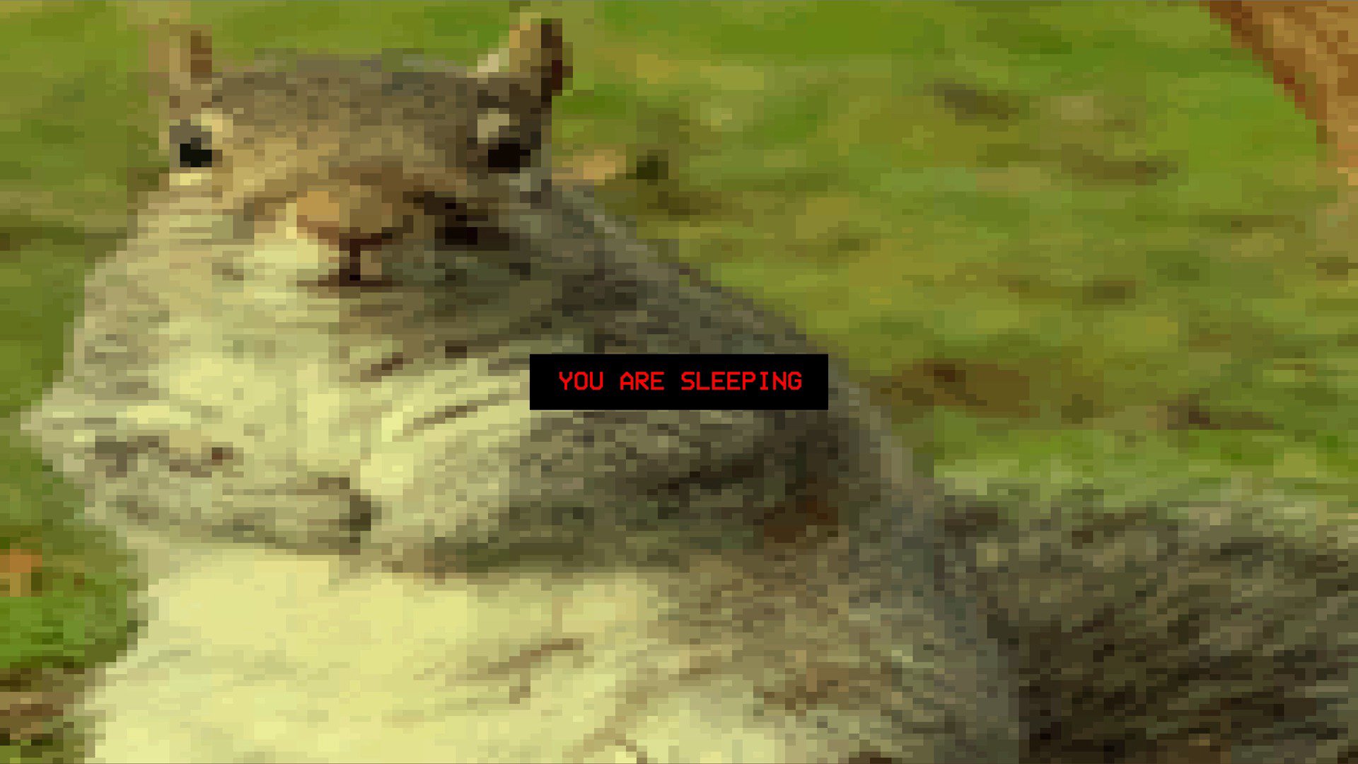 lululandd Offline Background