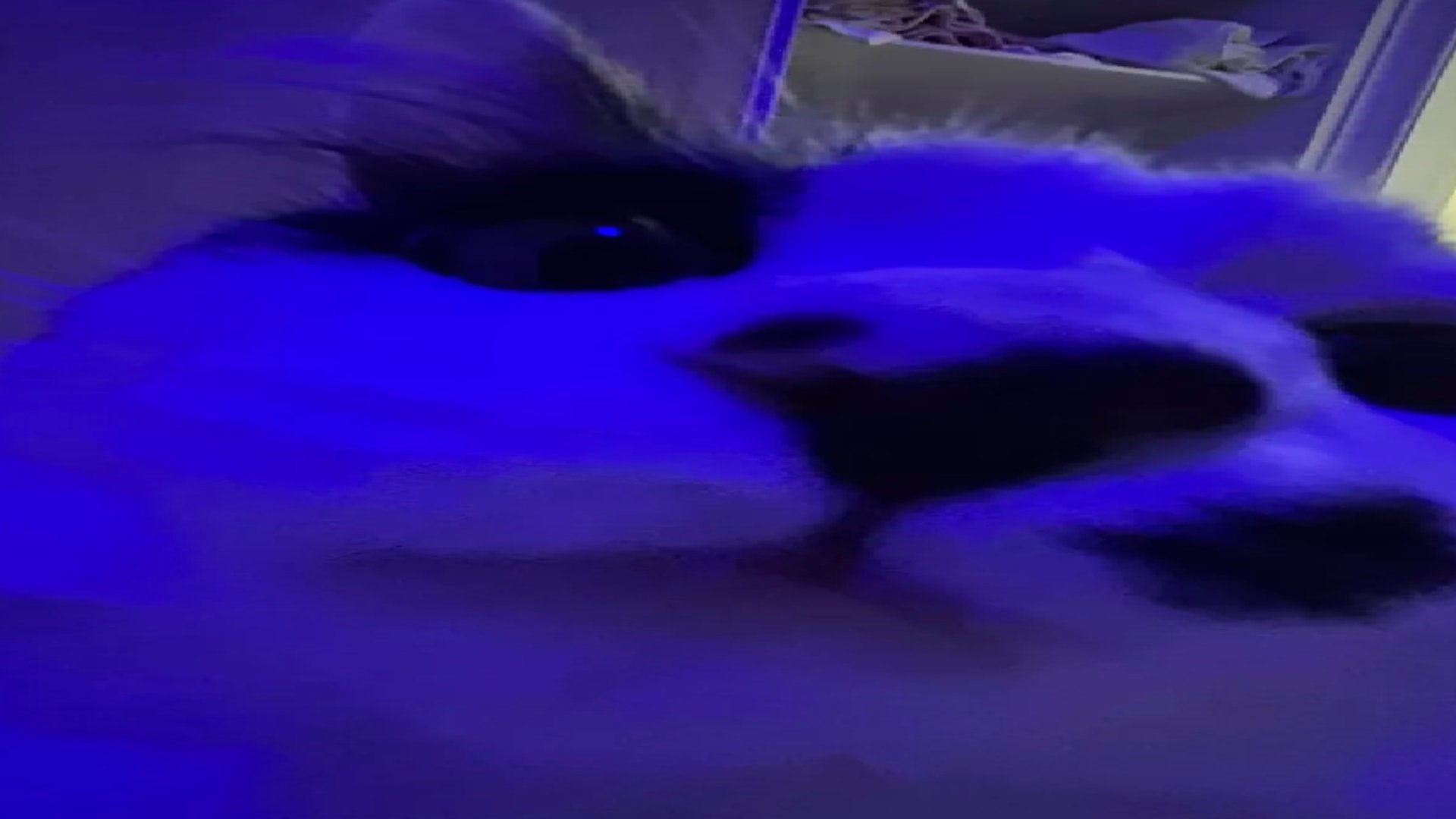 kiullty Offline Background
