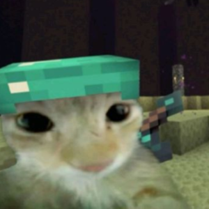 varnyex