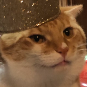 janckyboi