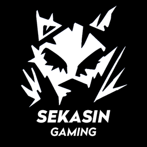 SekasinGaming