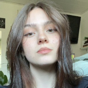 erdbeerquaark