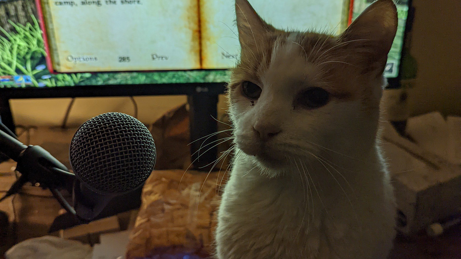 humfrey Offline Background