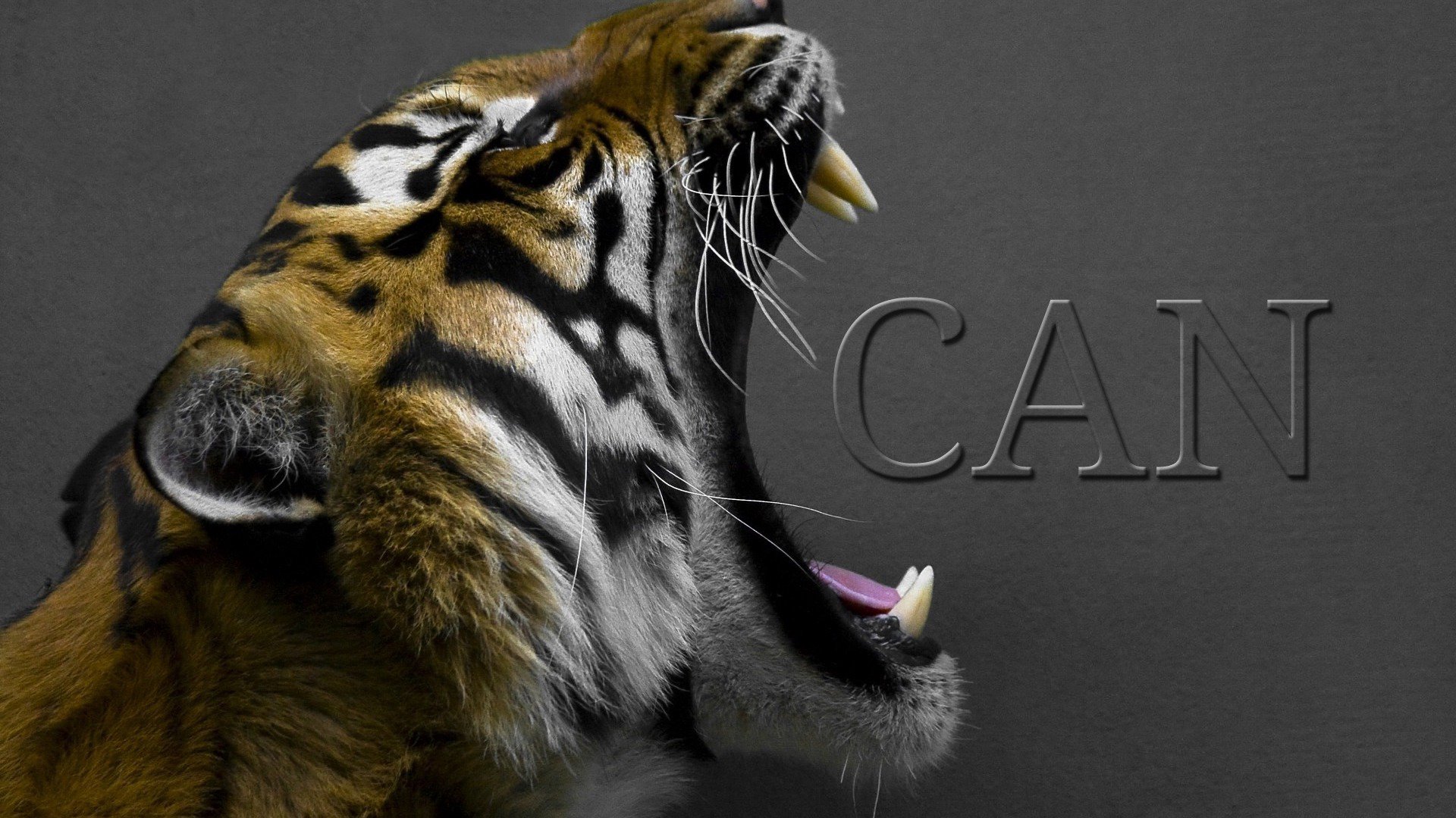 Cankovic86 Offline Background