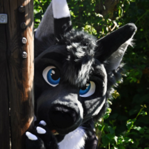 Tako_Wolf