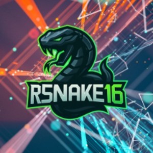 RSNAKE16