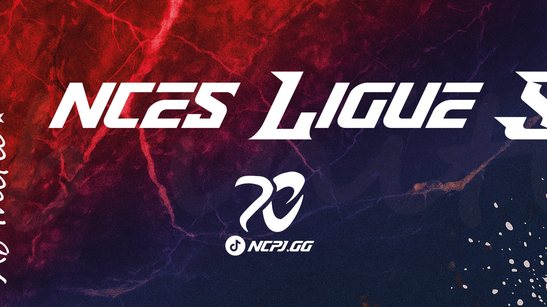 ncesportgg Offline Background
