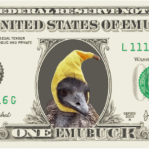 emu_warrior1
