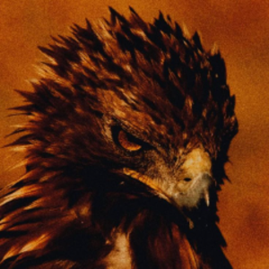 x00falcon