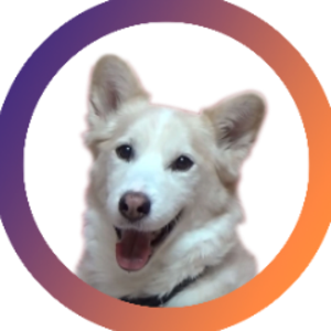 TaisonTV