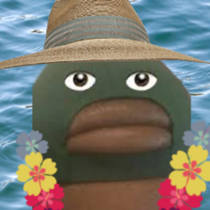 HawaiianTurtle