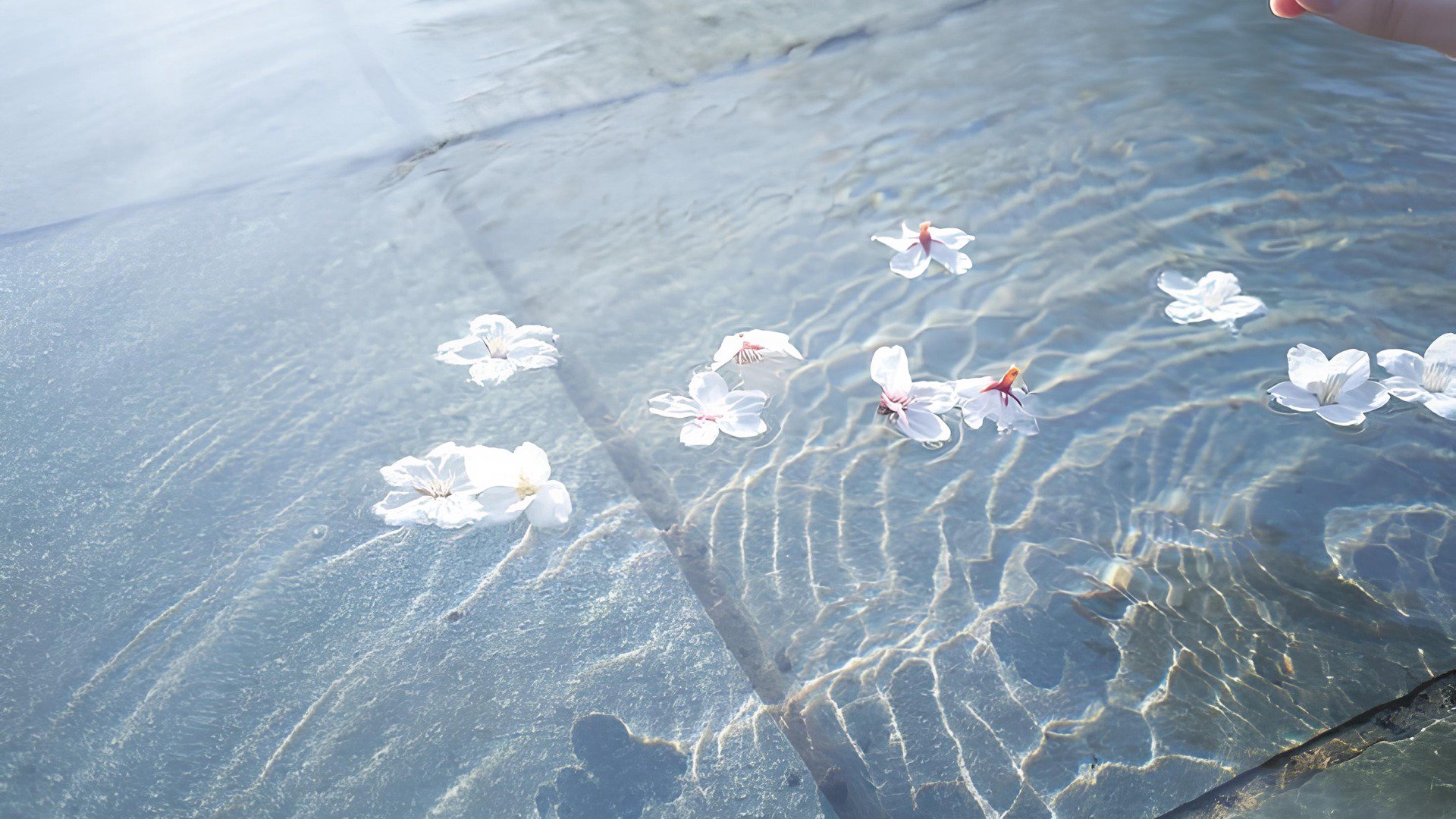 iceicell Offline Background