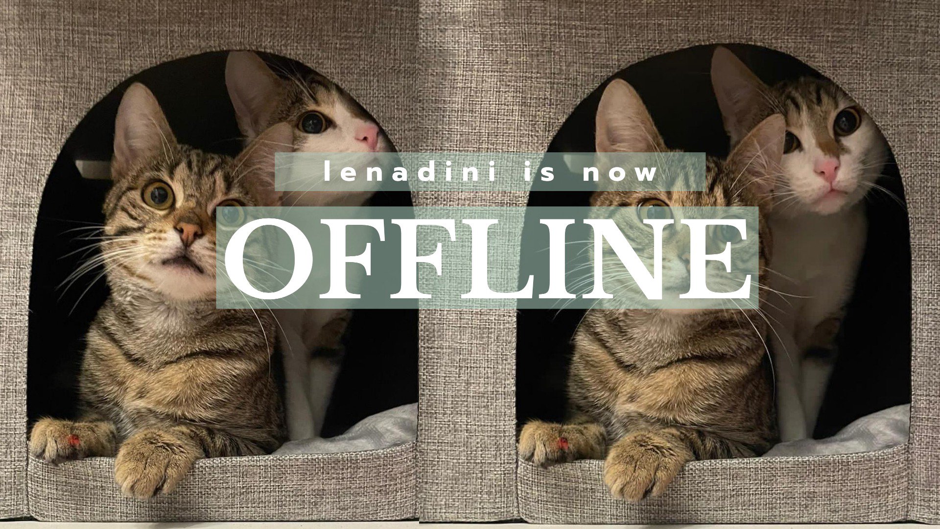 Lenadini Offline Background