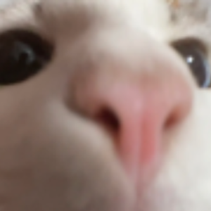 NeedyJam
