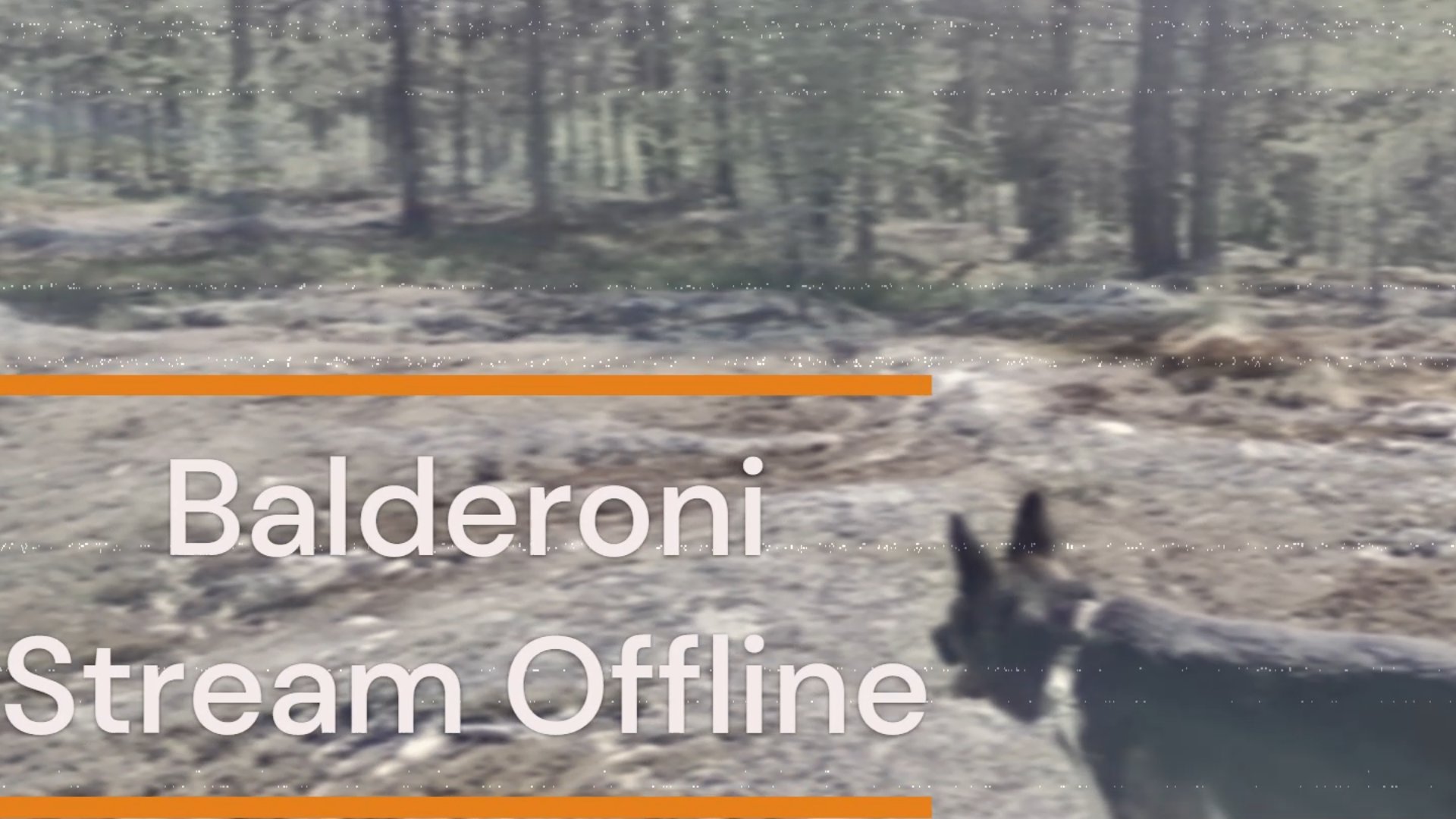 Balderoni Offline Background