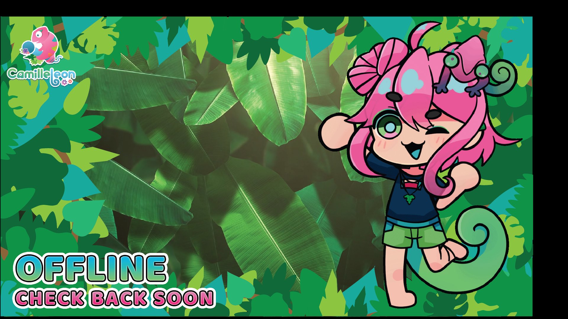 CamilleLeonVT Offline Background
