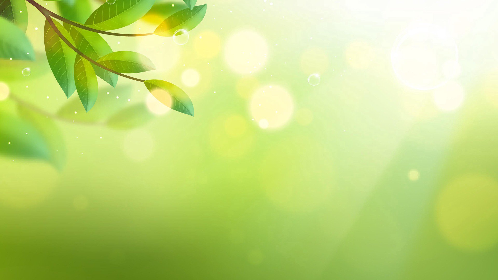 tropangmunggo Offline Background