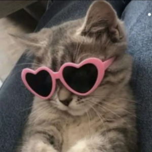 xnatallex
