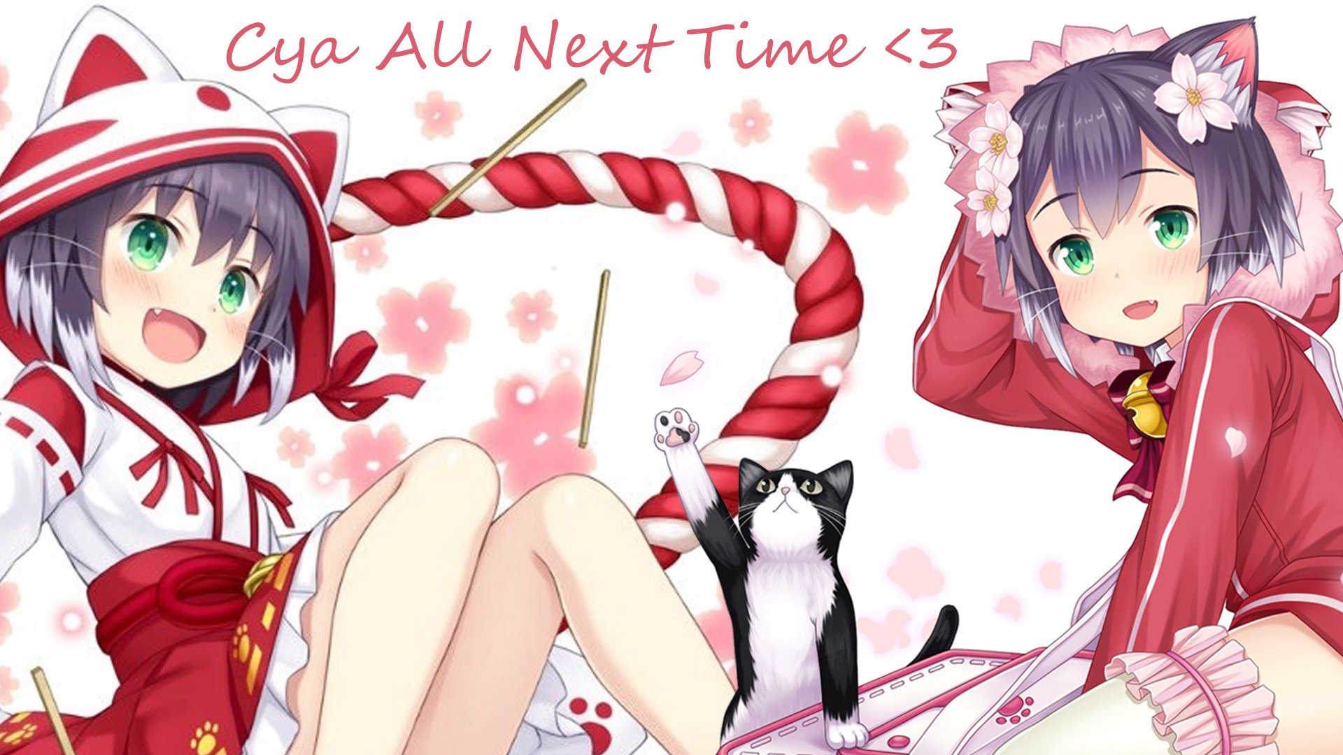 hikaril0v3 Offline Background